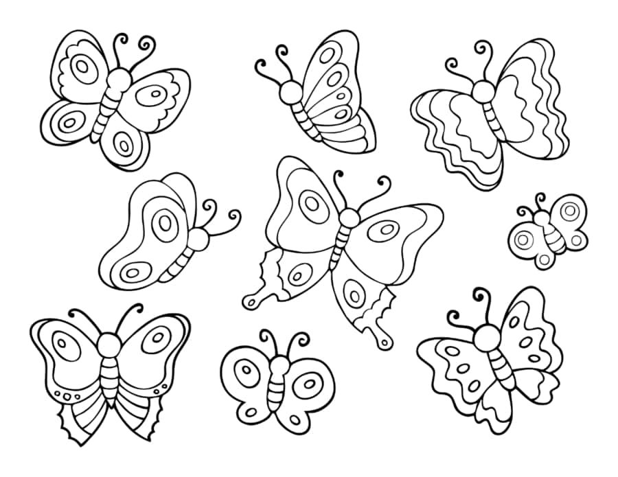 Butterfly Page Of Butterflies For Kids Coloring Pages Pdf Free Vectors